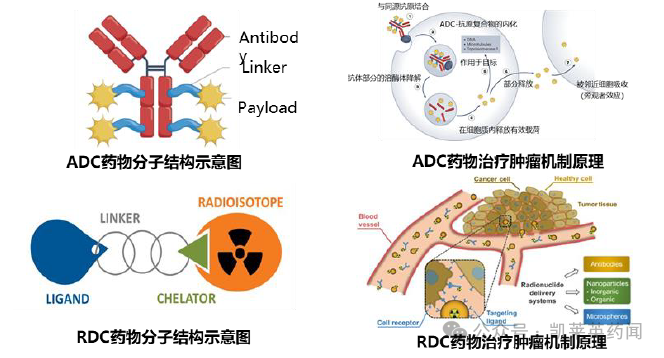 远大医药：RDC药物ITM-11从IND受理到获批III期临床仅用一年！国内GEP-NETs患者有望迎来诊疗新选择_腾讯新闻