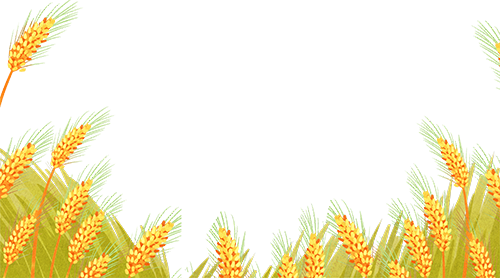 内江市东兴区:打好小春生产"主动仗"  确保农业生产"开门红"