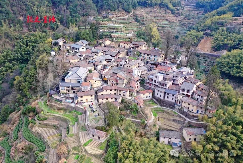 西坑村,静处一隅,乡村旅游网红打卡地