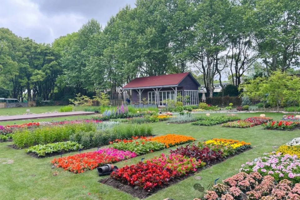 第四届花坛花境植物质量展示活动评审结果揭晓