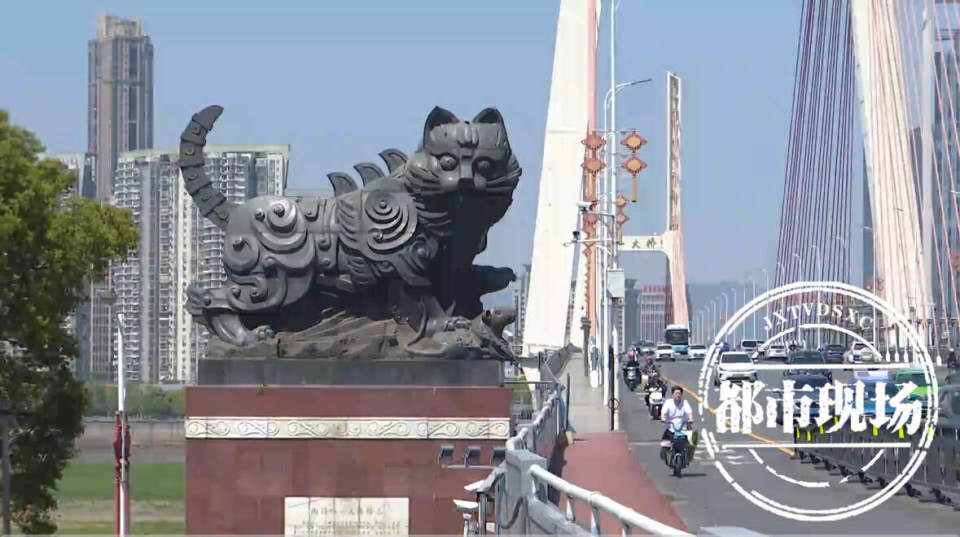 今日开放南昌打卡再上新八一大桥白猫黑猫喊你来合照