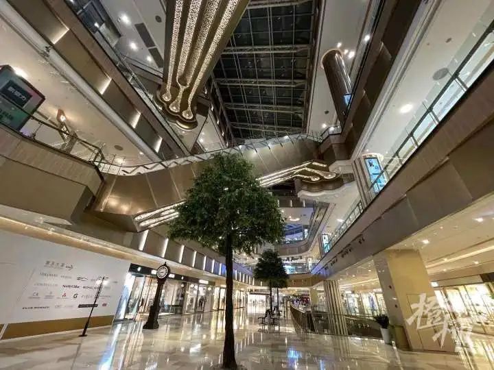 杭州第二座k11商场来了落址哪里