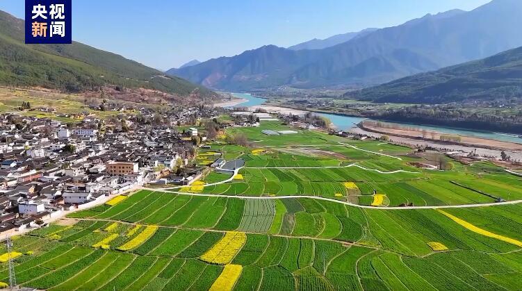 春风拂面金江畔 香格里拉春景入画来