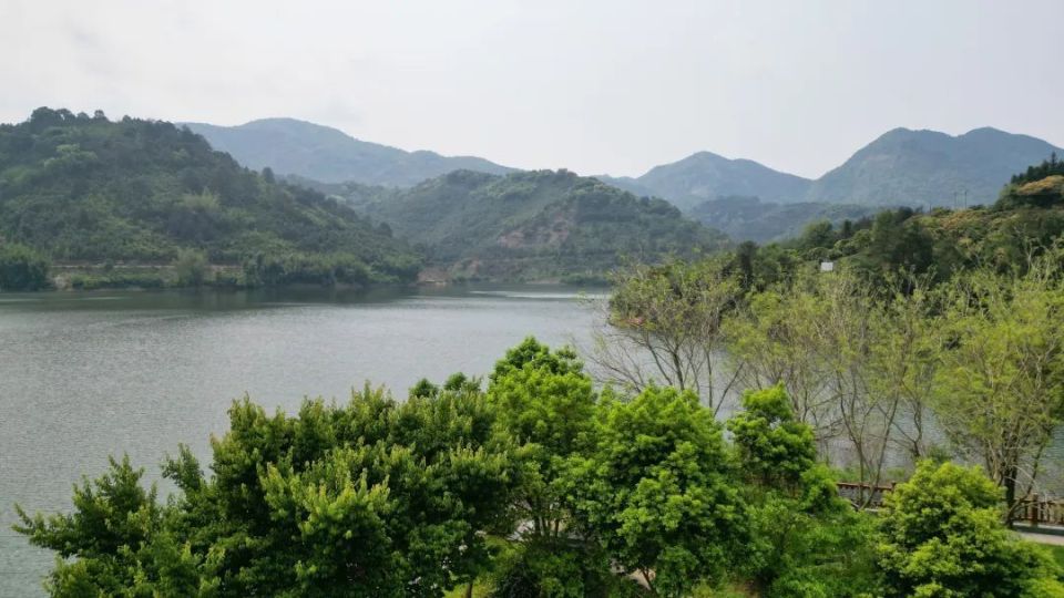 探访广东郁南大河国家湿地公园_腾讯新闻