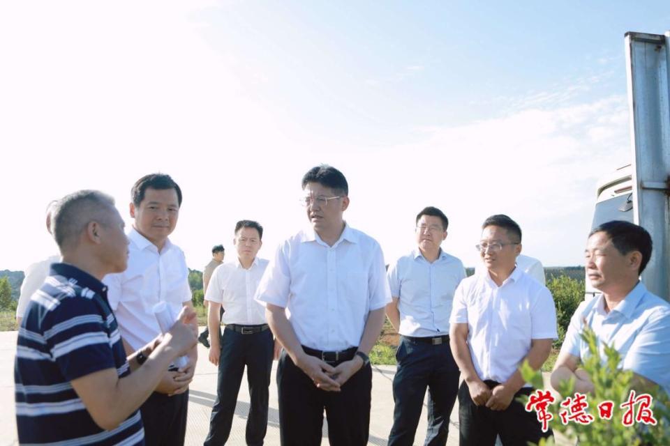 罗毅君在临澧县调研_腾讯新闻