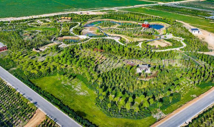 受访者供图走进国能准能集团国家矿山公园,花团锦簇,空气清新,能深切