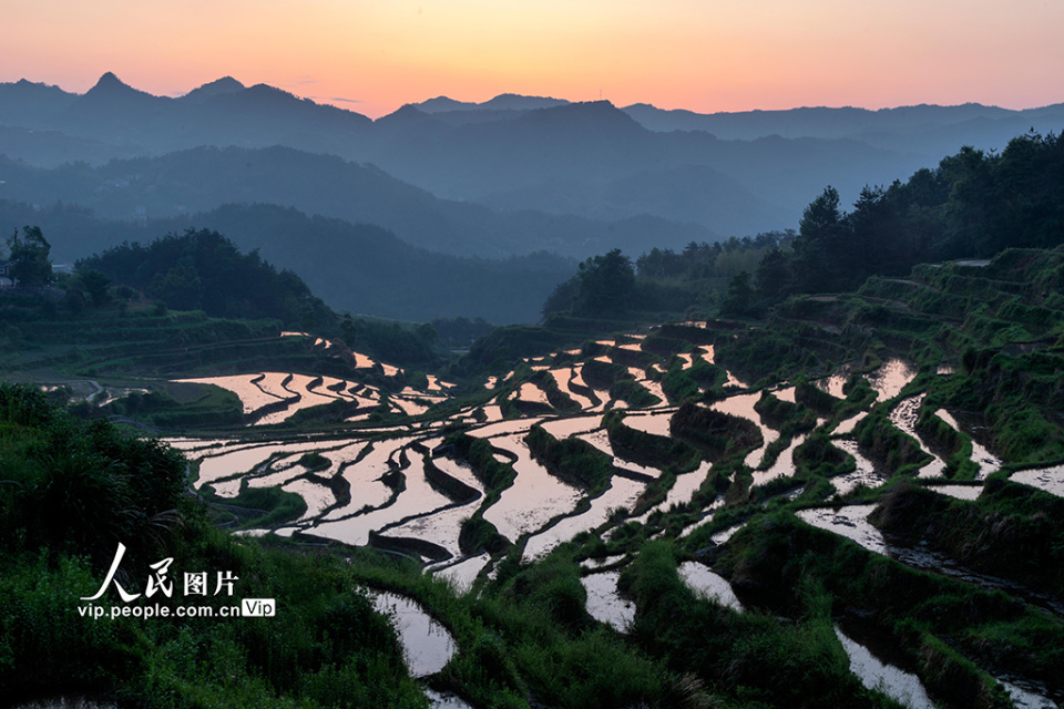 山区梯田风景图片图片