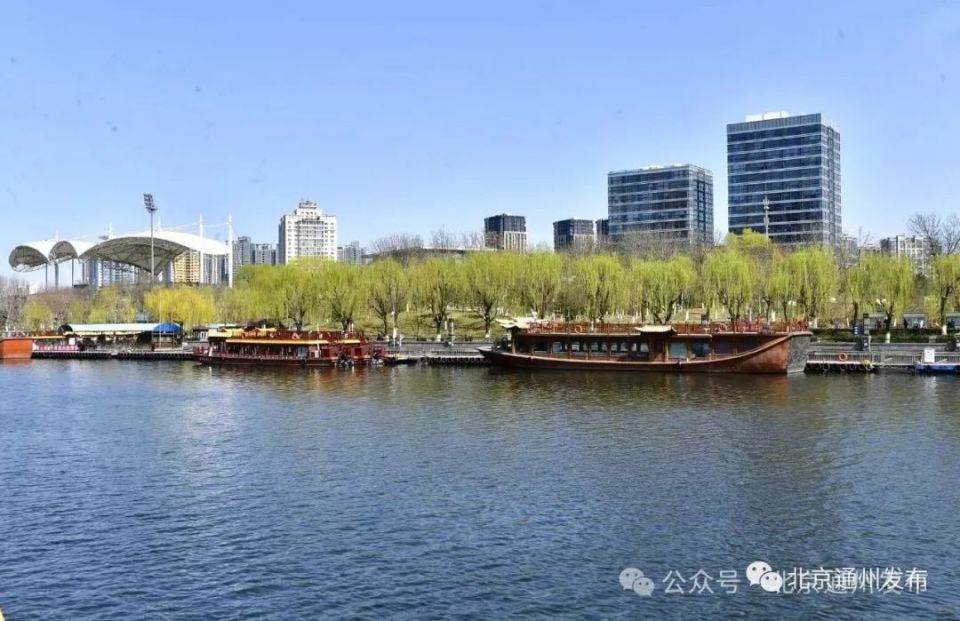 景区南区,大运河森林公园绿野葱茏,观鸟露营拥清风入怀.