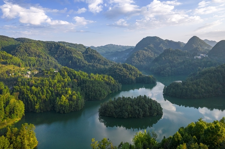 百里杜鹃杜鹃湖图片