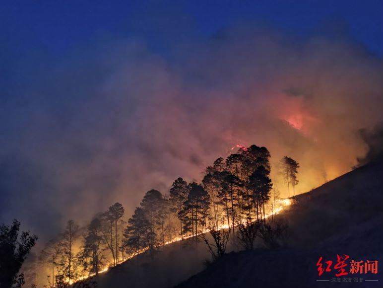 西昌森林火灾森林消防员奋战15小时明火已扑灭未造成人员伤亡