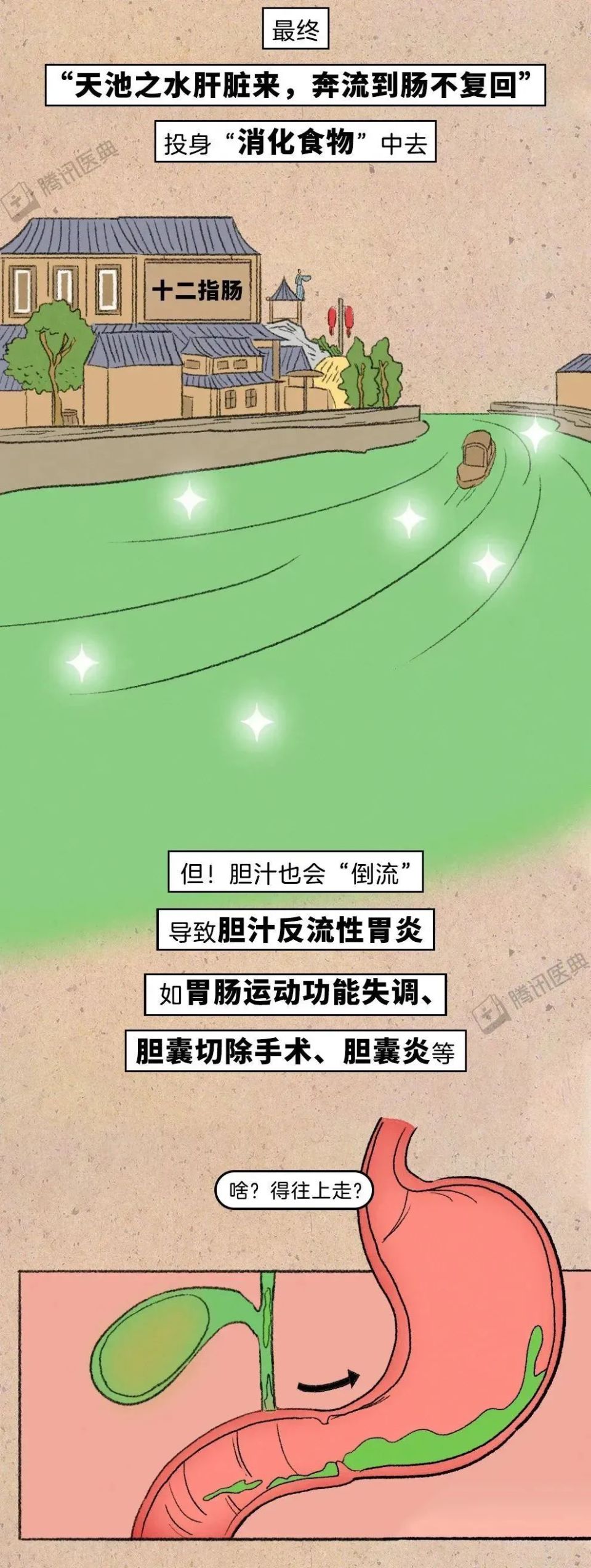 不吃早饭，会得结石？容易长胆结石的这些习惯，很多人都有_腾讯新闻