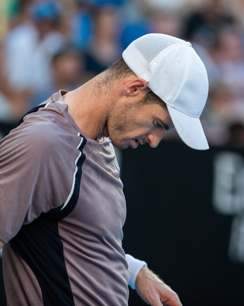 网球——澳网:穆雷止步首轮_腾讯新闻