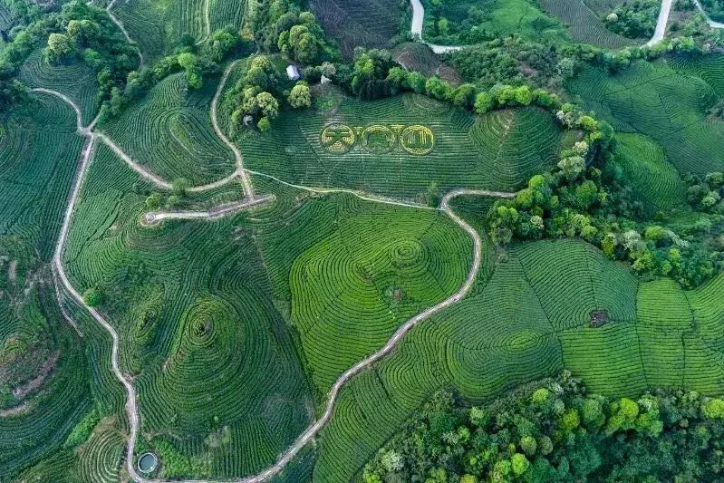 要写清晨的薄雾,缠绕在天宫山的肩头