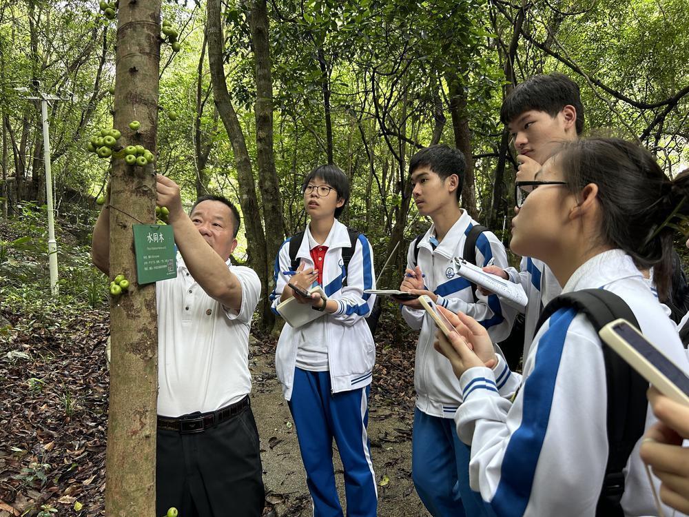 览山水识百草惠州八中开展博罗研学活动