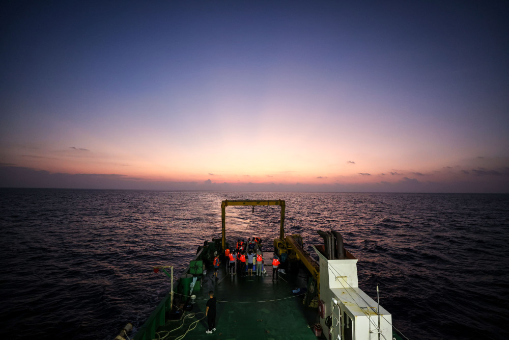 图集|历时145天,被救助短肢领航鲸"海棠"回归大海