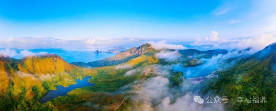 这样的福鼎,09了!