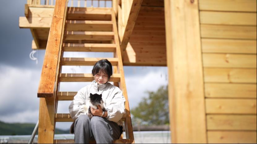 每年“蹭”近百场婚宴，收养126只流浪猫狗的女孩回应网友质疑