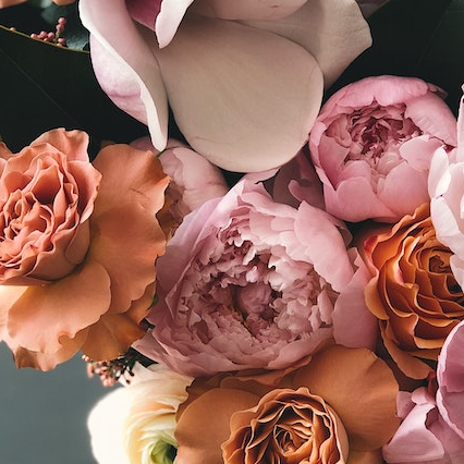 当护士节邂逅母亲节,松江景区为了不起的"她"免费