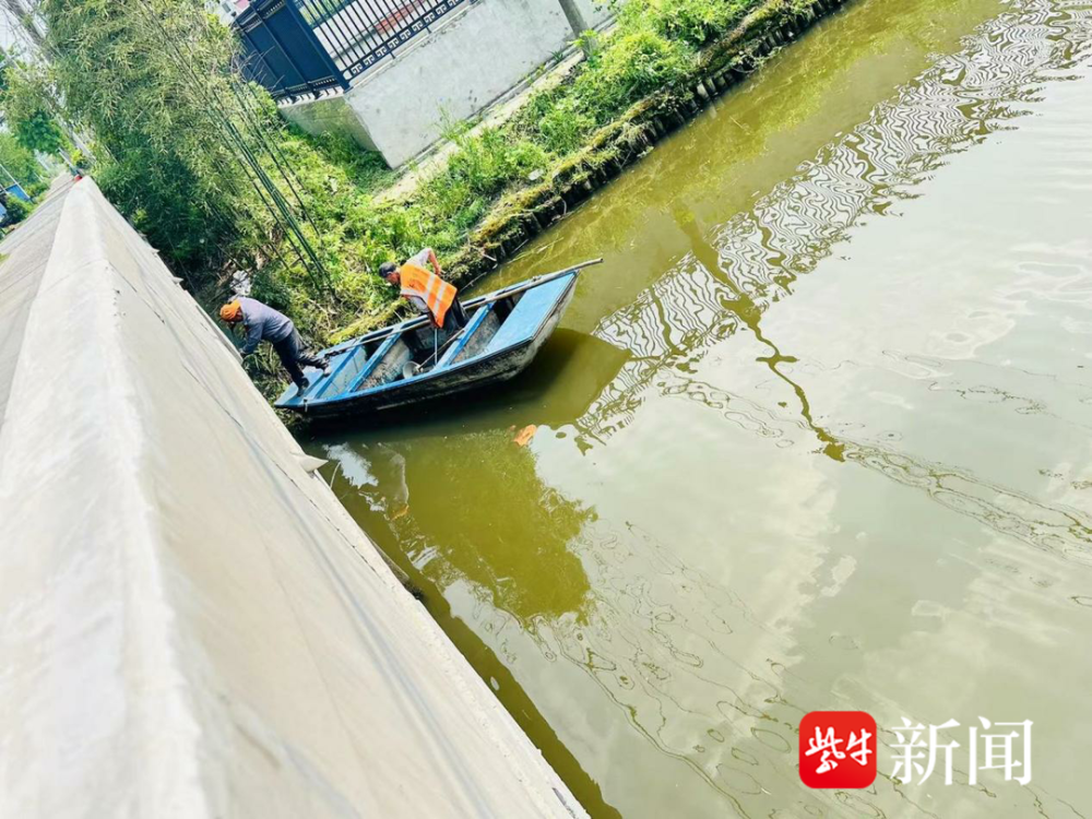 南通通州刘桥镇:"善治" "巧治"不断提升生态水环境质量