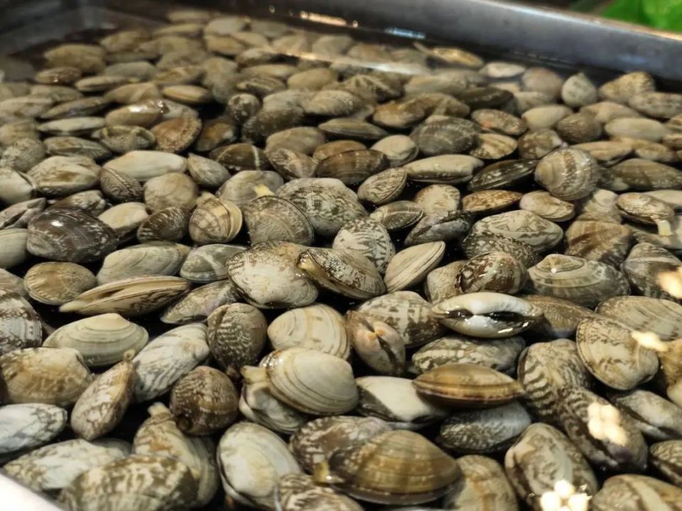 【吕四头条】休渔了,吕四人还有"海鲜自由"吗