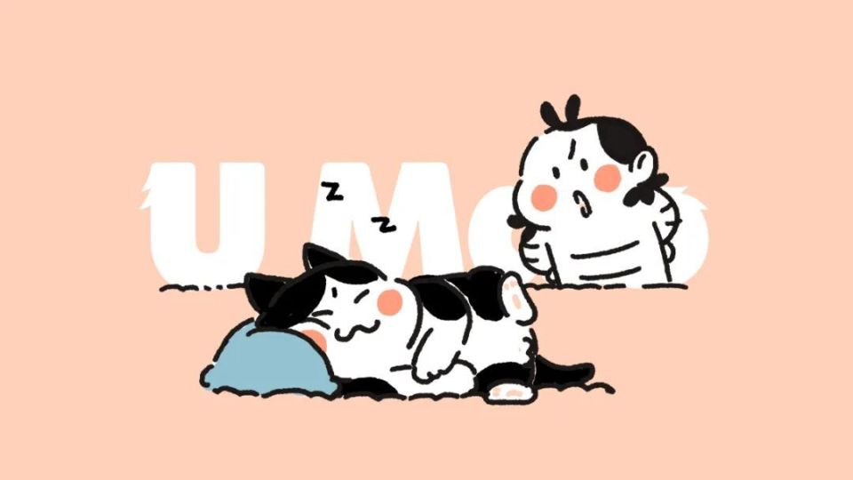 小猫咪为什么能睡这么长时间凭本事