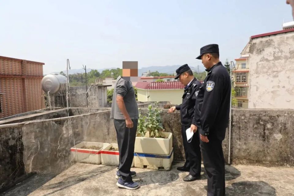 【广东禁种铲毒在行动】禁毒宣传筑防线,踏查铲毒护安宁_腾讯新闻