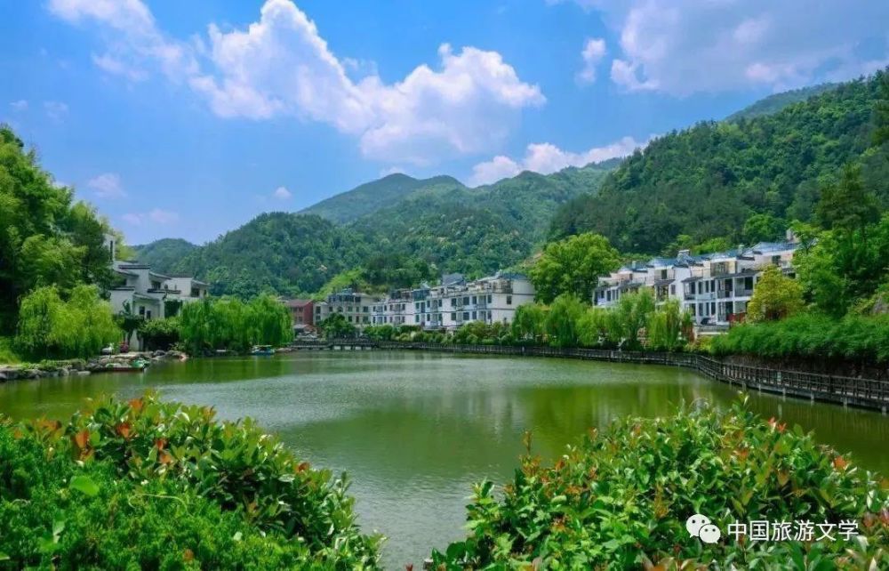 行走丨分水塘边紫草香_腾讯新闻