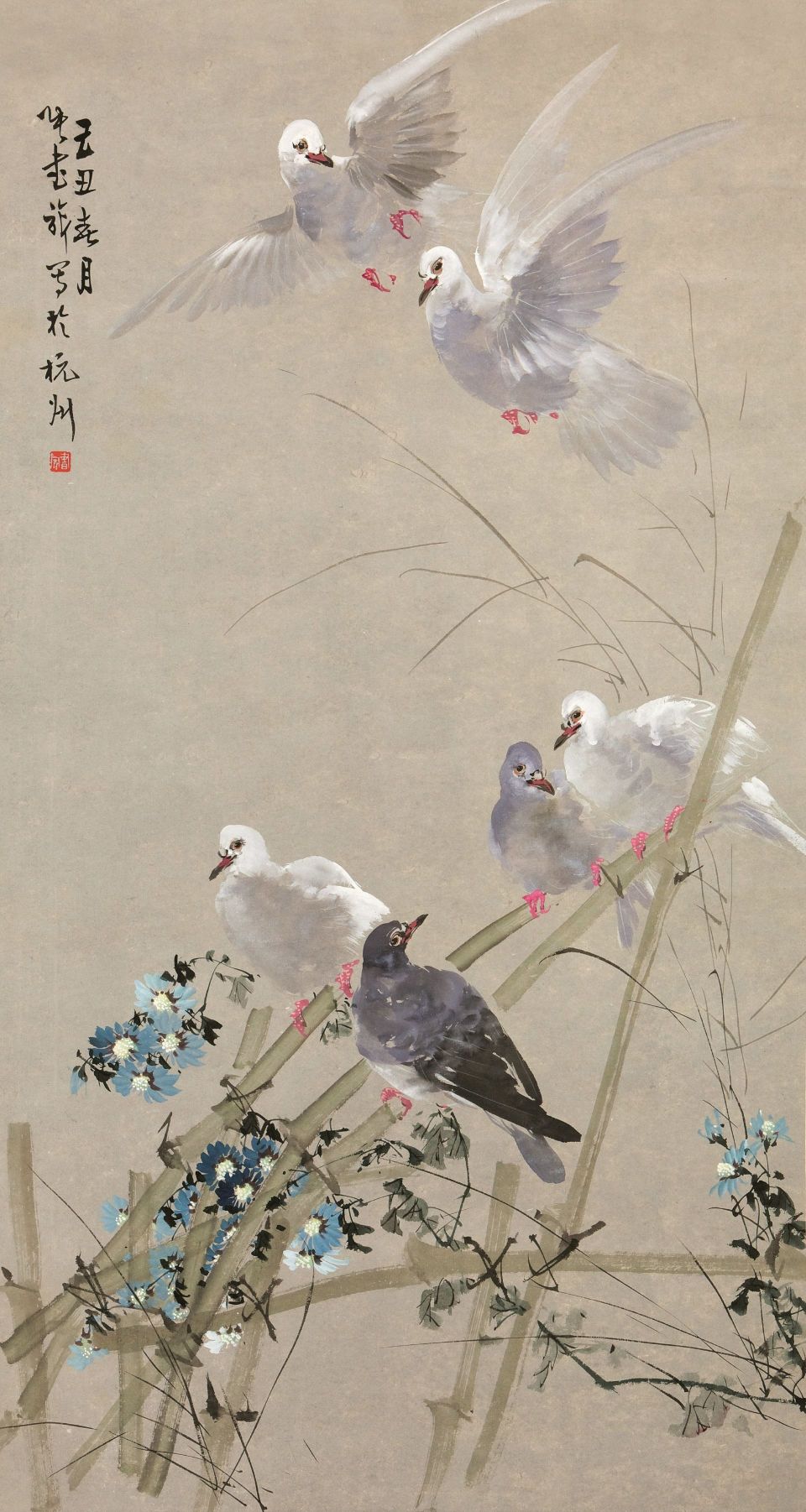 图片