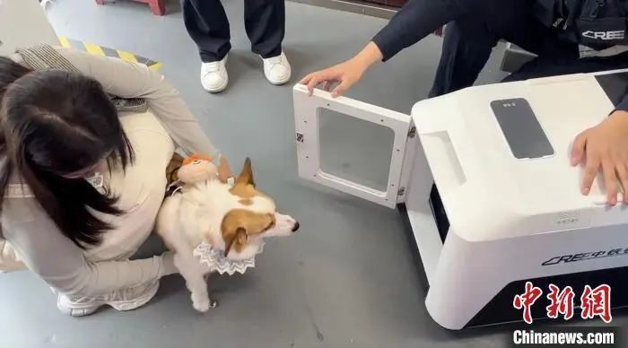 为什么宁静贴片这么贵聚焦浙里：中新社浙江新闻周报_https://www.jmylbn.com_新闻资讯_第4张