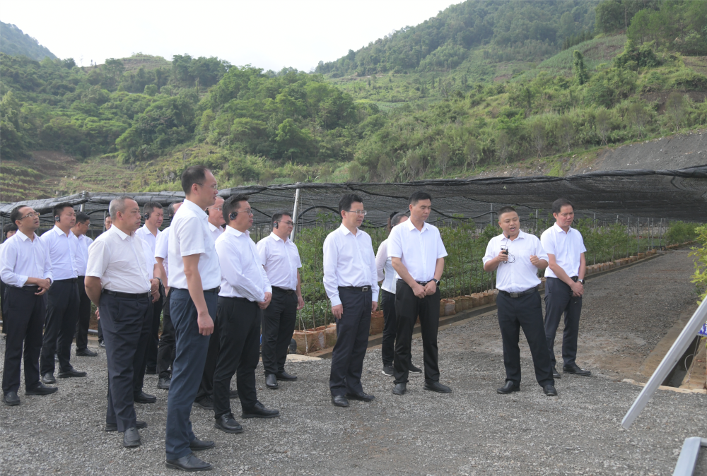 文山州5月重点项目开工竣工调度暨推进落实省系列三年行动现场观摩