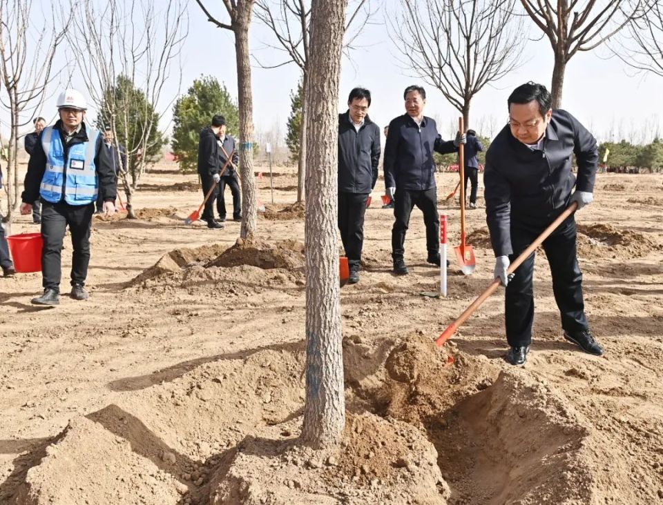 张国华调研雄安新区重点项目建设运营情况并参加2025年义务植树活动