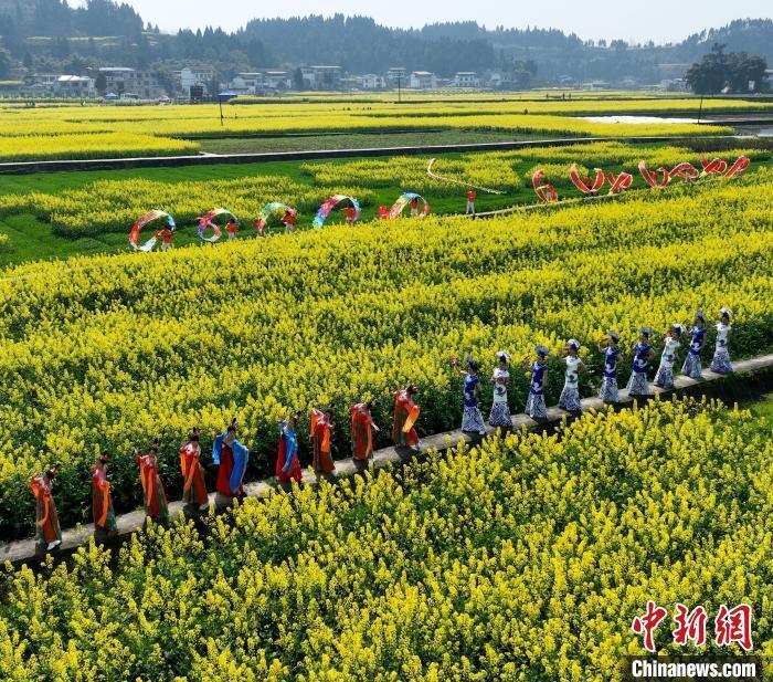 四川蓬安花田舞龙迎龙抬头