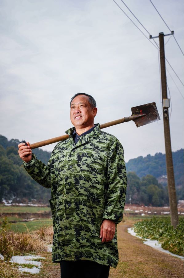 向春天出发父子相继研究油菜40余年菜地里走出农民科学家