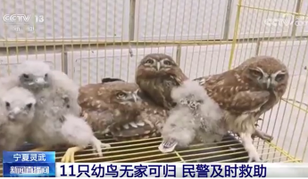 新闻热点网站排名_新闻热点网站官网_热点新闻网站