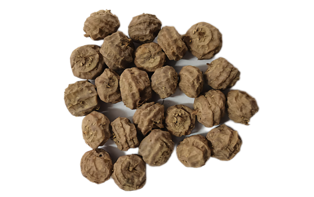 记者见到了这两种能在盐碱地里"野蛮生长"的油莎豆