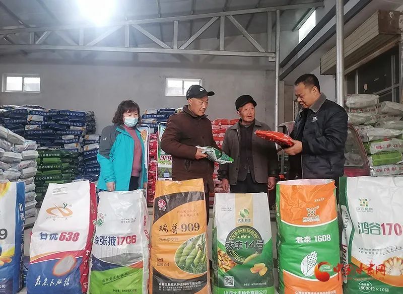 灵台:田间地头农事忙