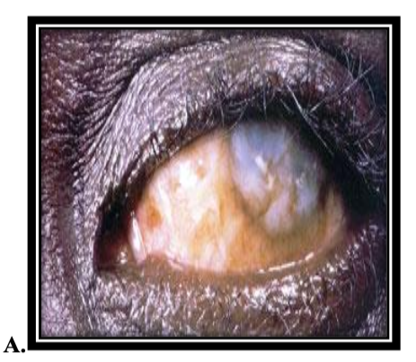 截屏2025-11-20 16.27.06.png