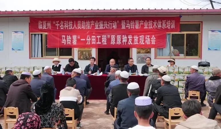 春意盎然 科技助力——临夏州农技推广服务中心在东乡县开展农业技术
