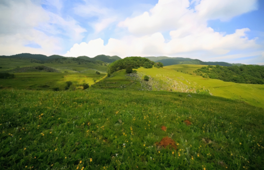 【美丽四川】马鹿寨——攀枝花的云上牧场||袁征