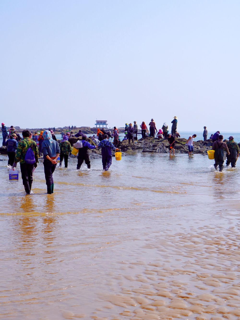 任家臺趕海園(免費)劉家灣趕海園(15元)日照適合趕海的地方基本上都在