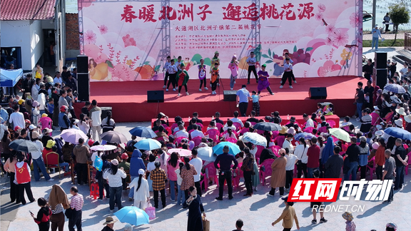 大通湖区北洲子镇:春风吹暖"花经济" 以花为媒产业兴