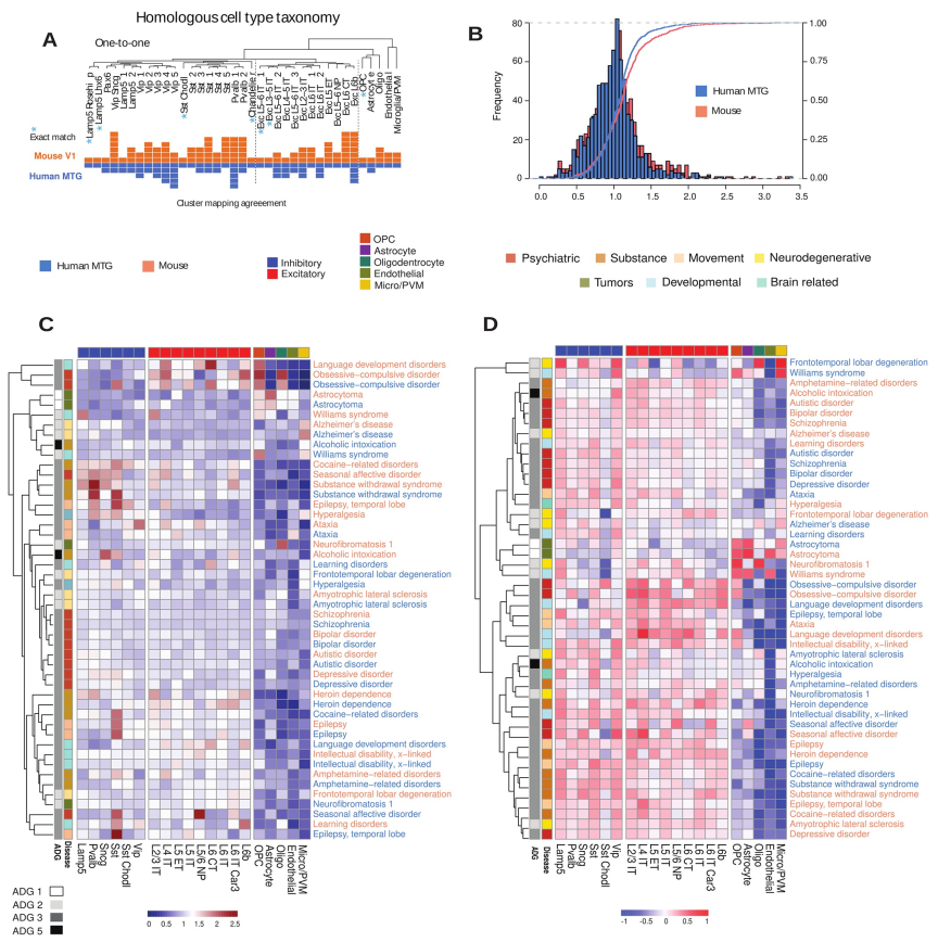 Plos Biology｜40种人类常见脑部疾病转录组学分析，提供基于分子的疾病分类和比较新策略_腾讯新闻