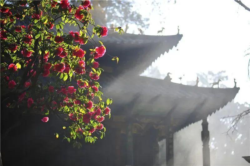 徐玉兰//梁晓东//高虹《与春风相拥》 作者：任学路（图8）