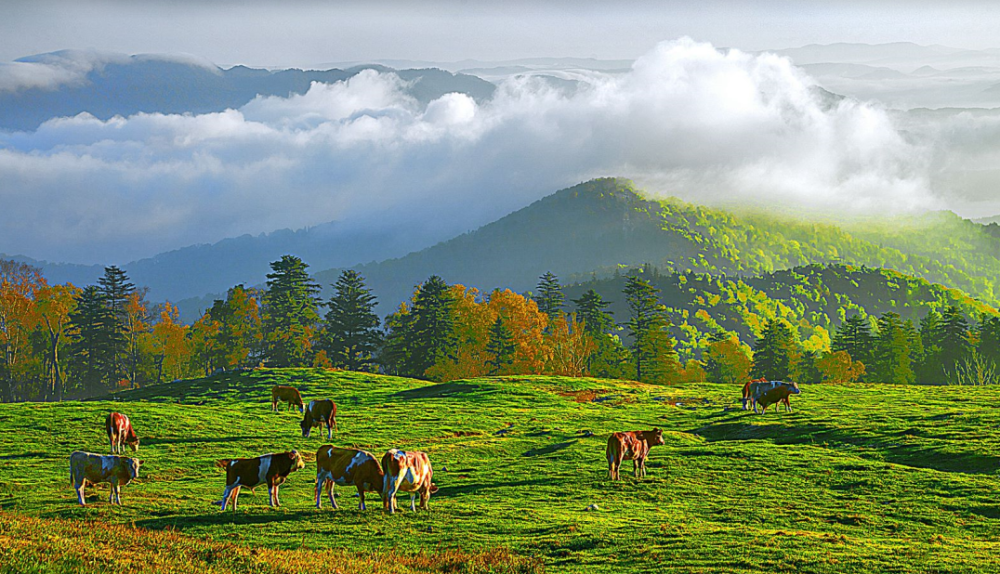 松花江生态旅游风景区松花江生态旅游风景区感受春天的气息惊蛰过后