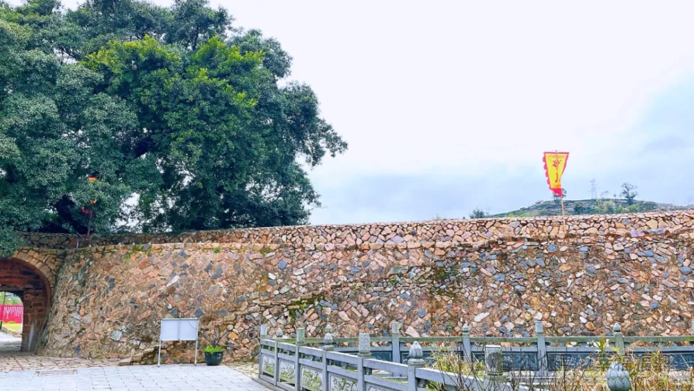 这样的福鼎,09了!