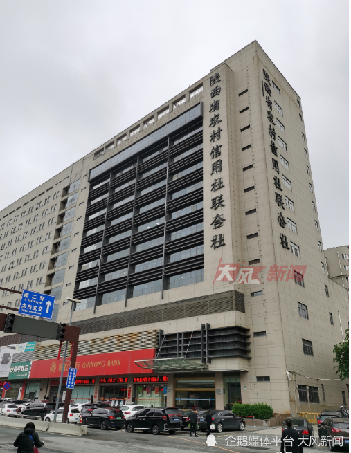 信合“被贷款”事件为何频发？快评：坑苦无辜者，后遗症何以久久难愈是怎么一回事-313啦实用网