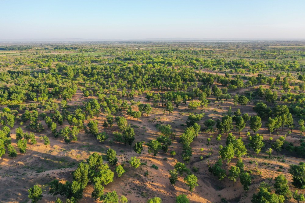 新华全媒  | 三北防护林里的"老愚公"