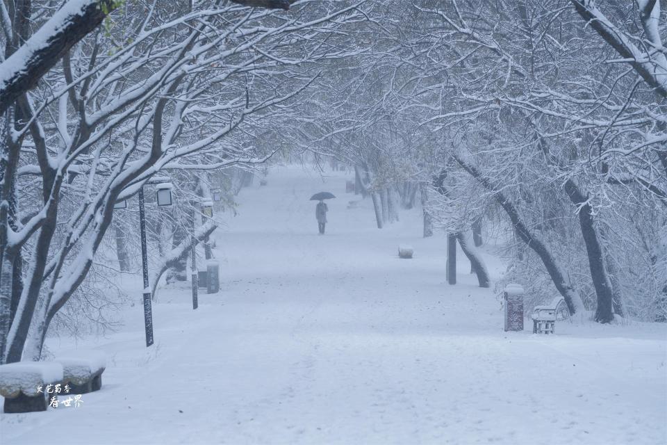 沈阳的这场大雪在立冬的前两天到来,冬天是一个独特的季节,这场雪像是