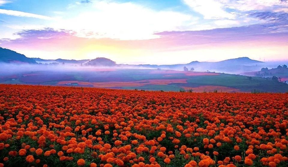 《花开时节》付大钊 摄《画中游》郭敏 摄《彩色大地》郭绍龙 摄构成