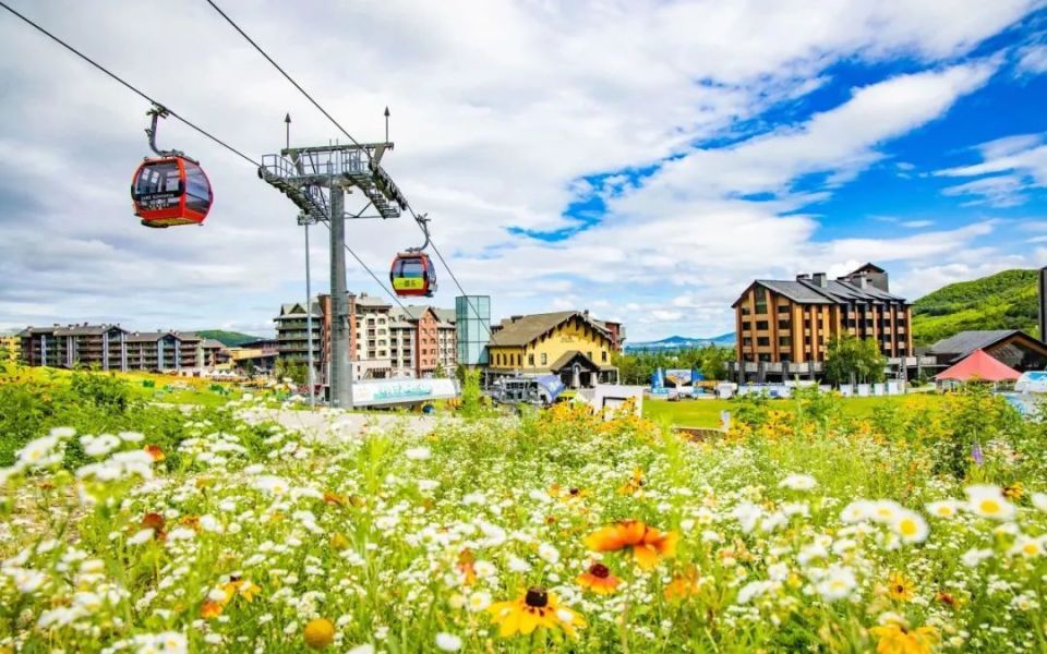 【初夏已至】吉林这些氛围感拉满的露营地藏不住啦!_腾讯新闻